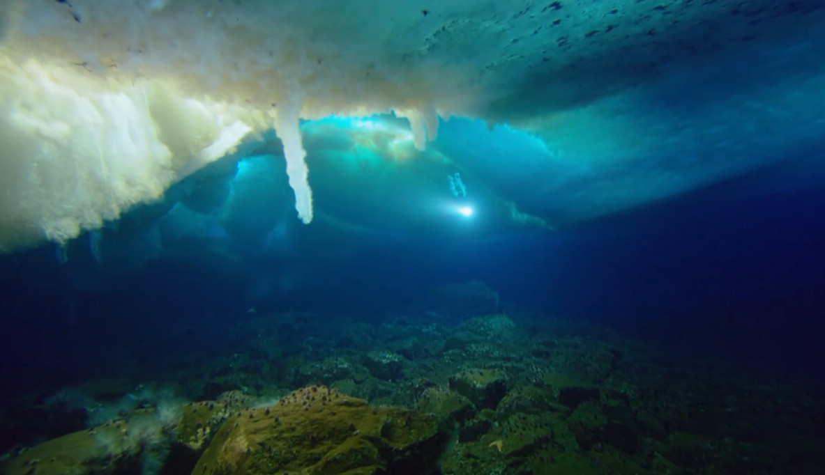 bbc��¼Ƭ78����¼Ƭ��ȫ